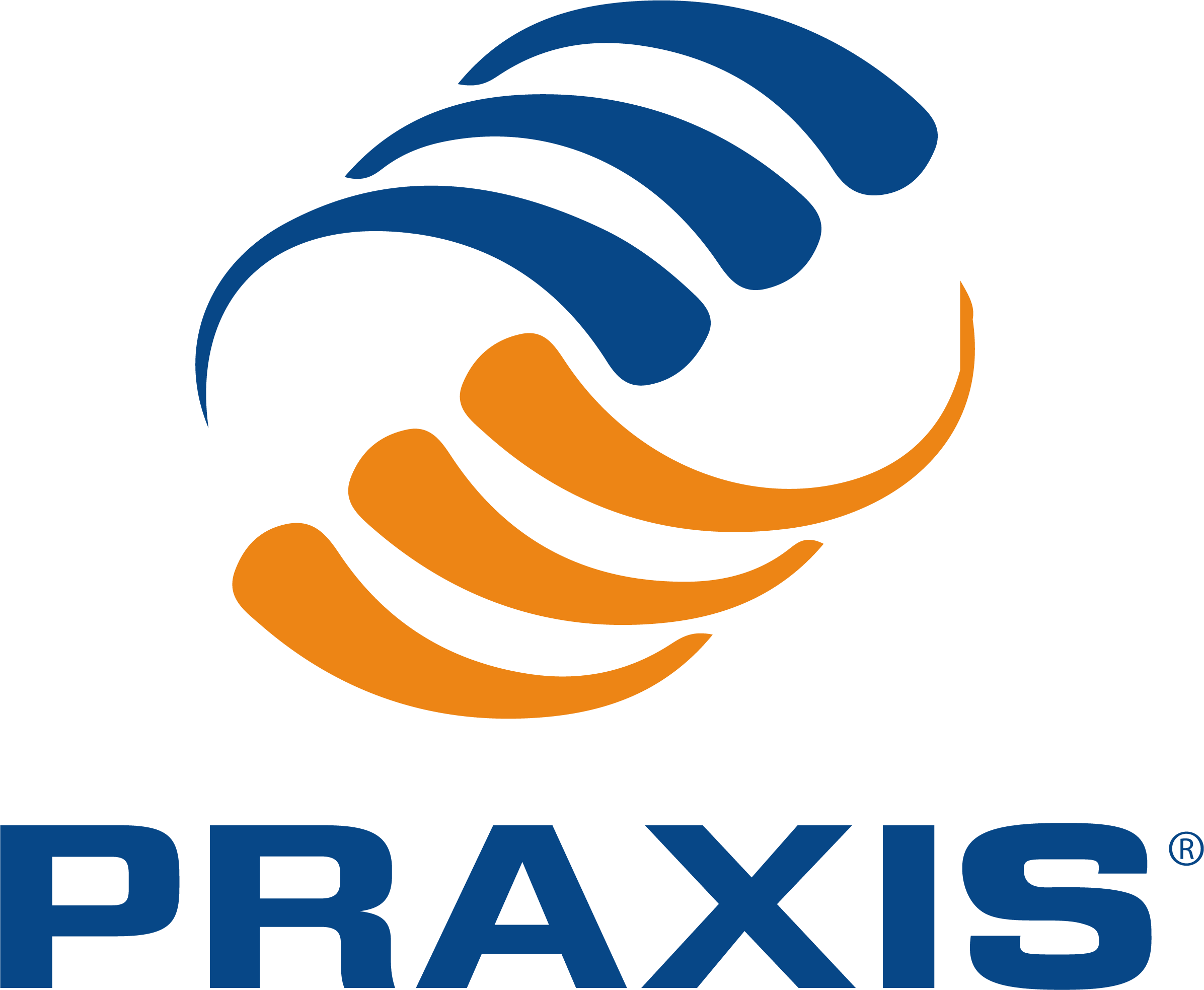Praxis (color actual)